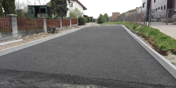 Revitalizace pobřeží Máchova jezera