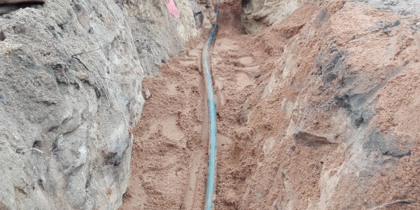 Revitalizace pobřeží Máchova jezera