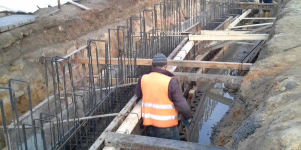 Revitalizace pobřeží Máchova jezera