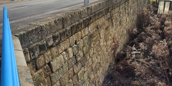 Opěrná zeď ul. Ptácká, Mladá Boleslav