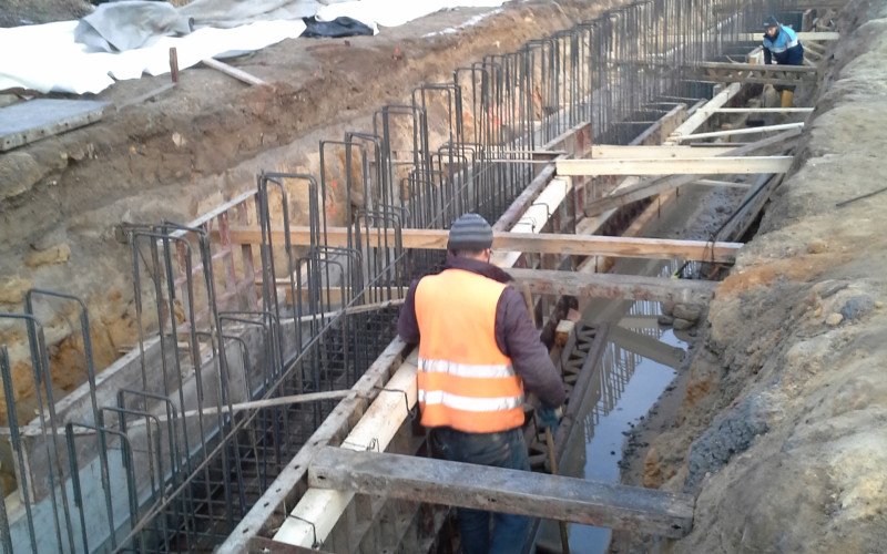 Revitalizace pobřeží Máchova jezera